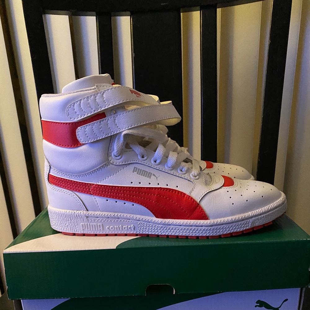 Puma